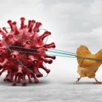 The Bird Flu Pandemic: Could H5N1 Trigger the Next Global Crisis?